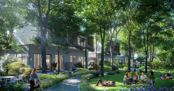 Thương hiệu thiết kế kiến trúc lâu đời bậc nhất Singapore thổi luồng sinh khí cho biệt thự Blue Forest