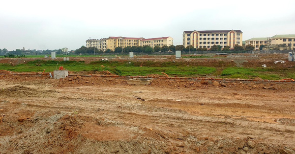 Nghệ An: Dự án nhà ở xã hội Hưng Lộc gặp khó vì tranh chấp cá nhân không liên quan