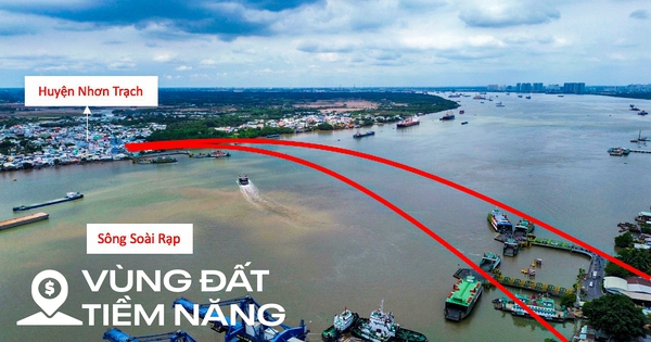 Khu vực sẽ xây cầu kết nối TP.HCM với huyện có nhiều khu công nghiệp nhất Việt Nam, loạt dự án bất động sản tỷ USD hưởng lợi