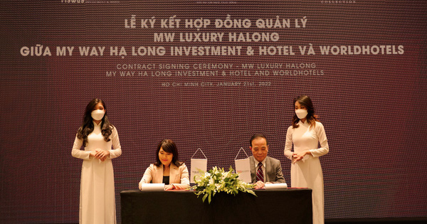 MW Luxury Halong hợp tác quản lý và vận hành với WorldHotels