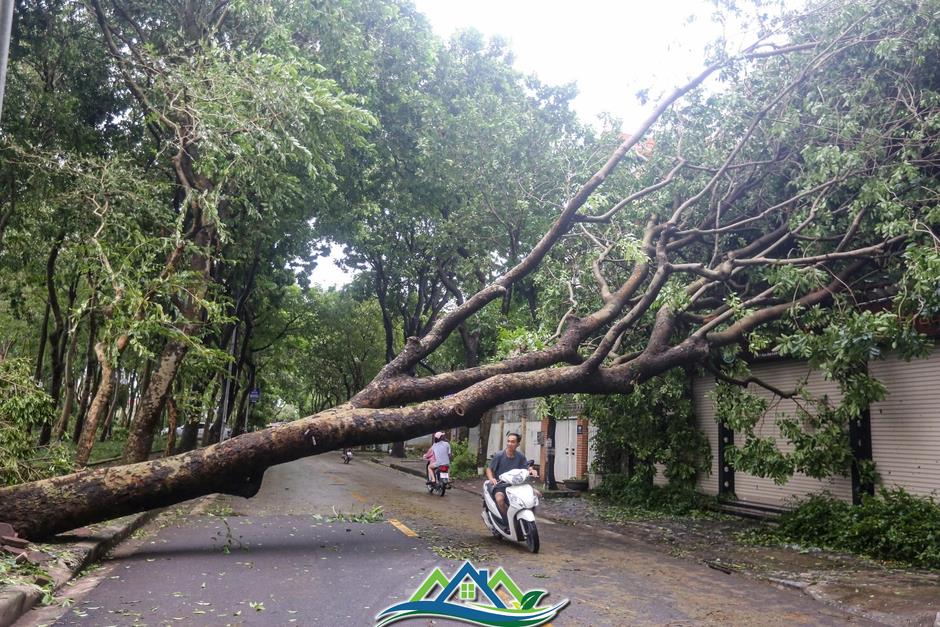 Khu đô thị đông dân nhất Thủ đô tan hoang sau bão Yagi, 'có nhà nhưng không có lối vào'