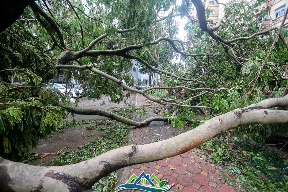 Khu đô thị đông dân nhất Thủ đô tan hoang sau bão Yagi, 'có nhà nhưng không có lối vào'