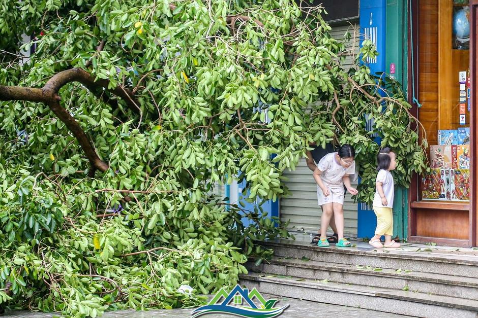 Khu đô thị đông dân nhất Thủ đô tan hoang sau bão Yagi, 'có nhà nhưng không có lối vào'