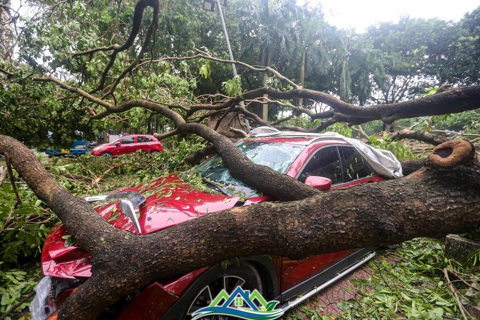 Khu đô thị đông dân nhất Thủ đô tan hoang sau bão Yagi, 'có nhà nhưng không có lối vào'