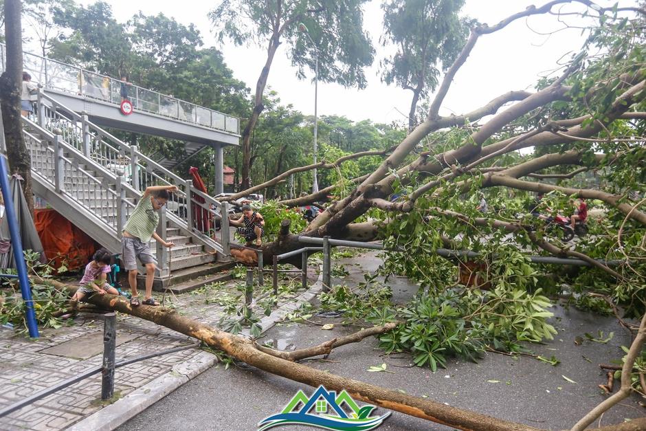 Khu đô thị đông dân nhất Thủ đô tan hoang sau bão Yagi, 'có nhà nhưng không có lối vào'