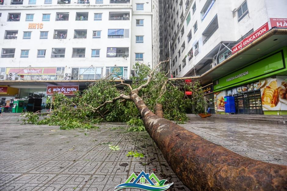 Khu đô thị đông dân nhất Thủ đô tan hoang sau bão Yagi, 'có nhà nhưng không có lối vào'