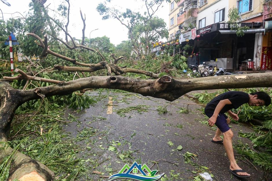 Khu đô thị đông dân nhất Thủ đô tan hoang sau bão Yagi, 'có nhà nhưng không có lối vào'