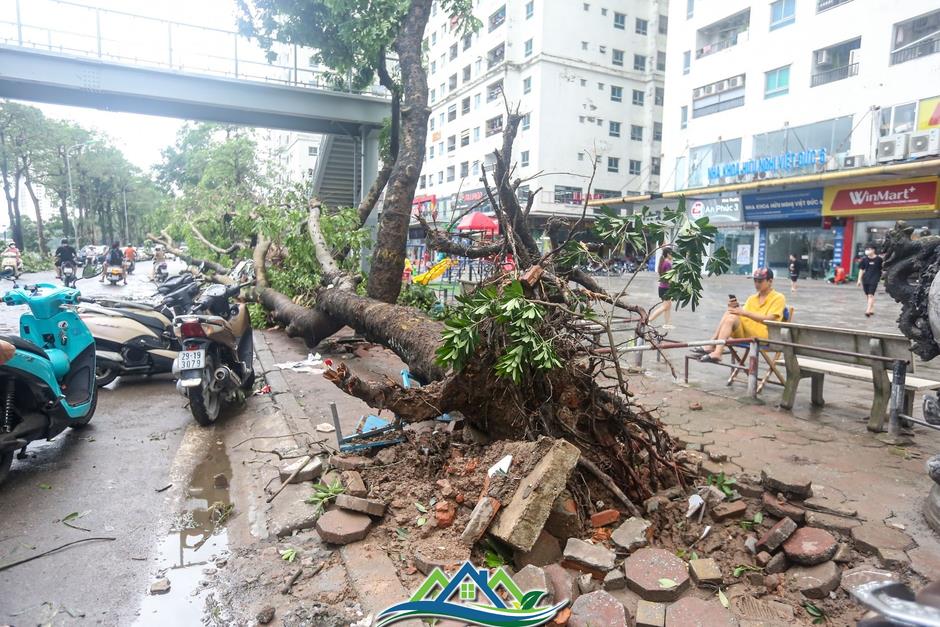 Khu đô thị đông dân nhất Thủ đô tan hoang sau bão Yagi, 'có nhà nhưng không có lối vào'