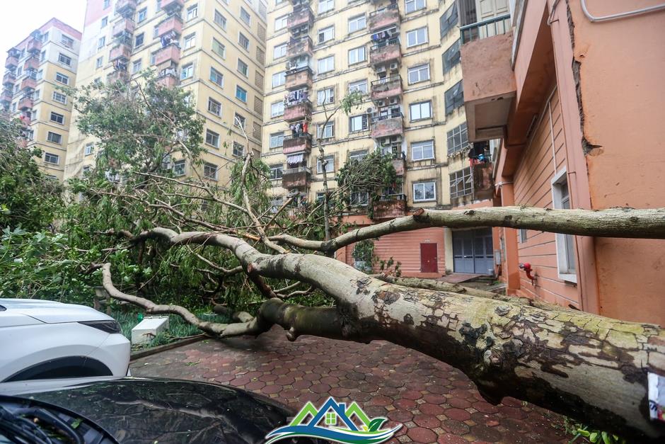 Khu đô thị đông dân nhất Thủ đô tan hoang sau bão Yagi, 'có nhà nhưng không có lối vào'