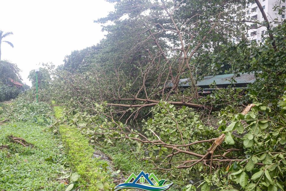 Khu đô thị đông dân nhất Thủ đô tan hoang sau bão Yagi, 'có nhà nhưng không có lối vào'