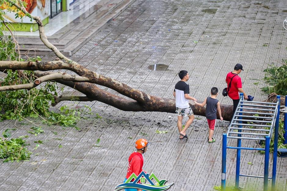 Khu đô thị đông dân nhất Thủ đô tan hoang sau bão Yagi, 'có nhà nhưng không có lối vào'