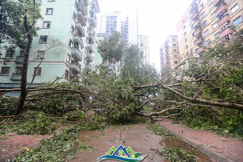 Khu đô thị đông dân nhất Thủ đô tan hoang sau bão Yagi, 'có nhà nhưng không có lối vào'