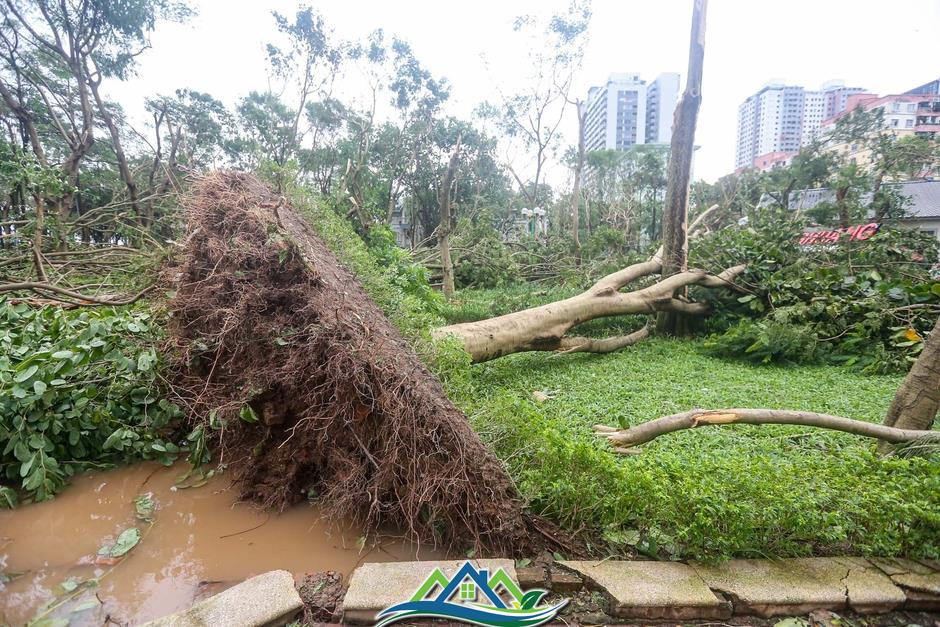 Khu đô thị đông dân nhất Thủ đô tan hoang sau bão Yagi, 'có nhà nhưng không có lối vào'