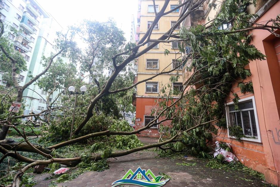 Khu đô thị đông dân nhất Thủ đô tan hoang sau bão Yagi, 'có nhà nhưng không có lối vào'