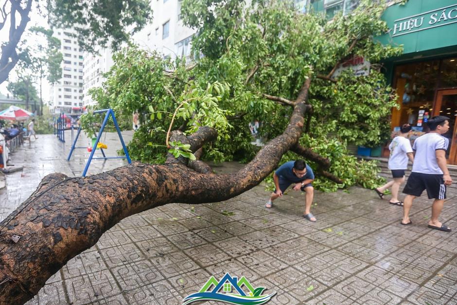 Khu đô thị đông dân nhất Thủ đô tan hoang sau bão Yagi, 'có nhà nhưng không có lối vào'