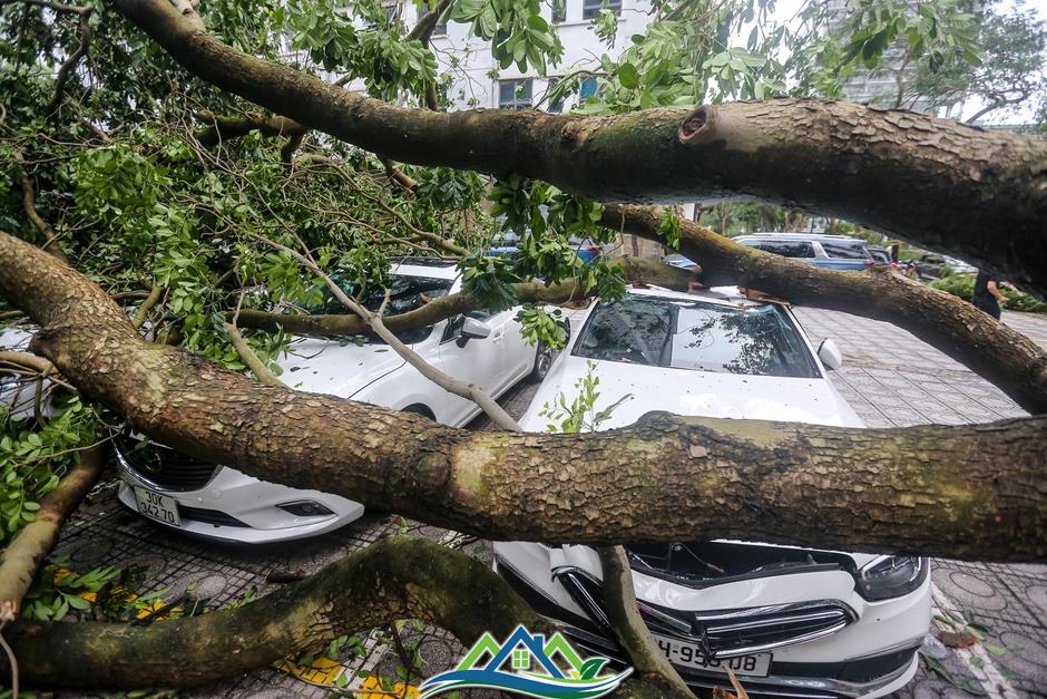 Khu đô thị đông dân nhất Thủ đô tan hoang sau bão Yagi, 'có nhà nhưng không có lối vào'