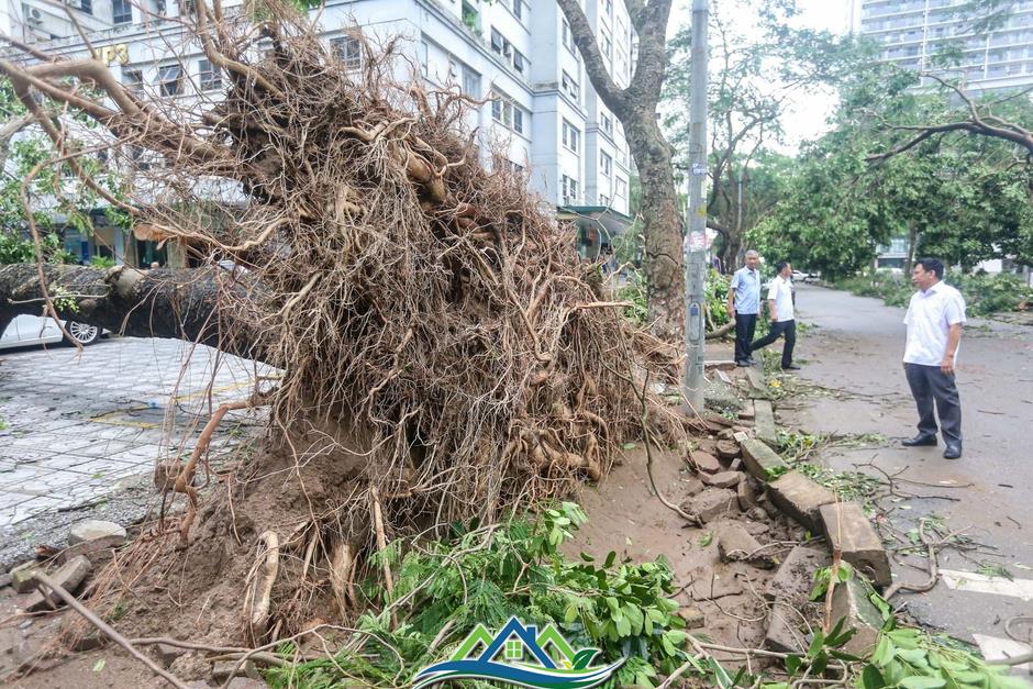 Khu đô thị đông dân nhất Thủ đô tan hoang sau bão Yagi, 'có nhà nhưng không có lối vào'