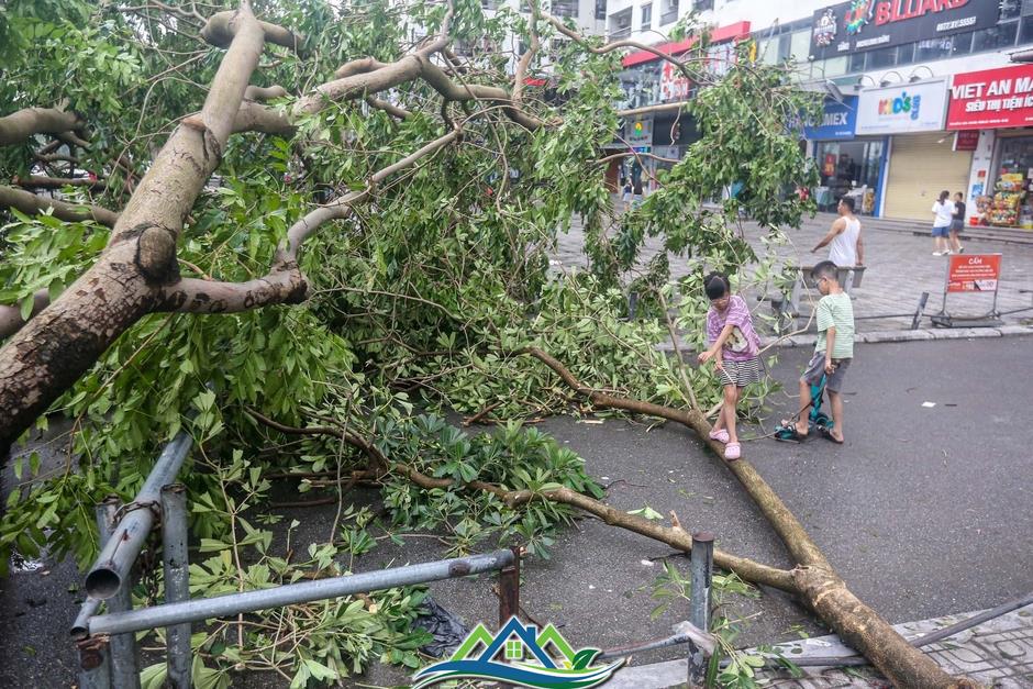 Khu đô thị đông dân nhất Thủ đô tan hoang sau bão Yagi, 'có nhà nhưng không có lối vào'