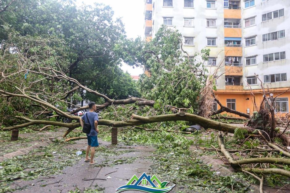 Khu đô thị đông dân nhất Thủ đô tan hoang sau bão Yagi, 'có nhà nhưng không có lối vào'