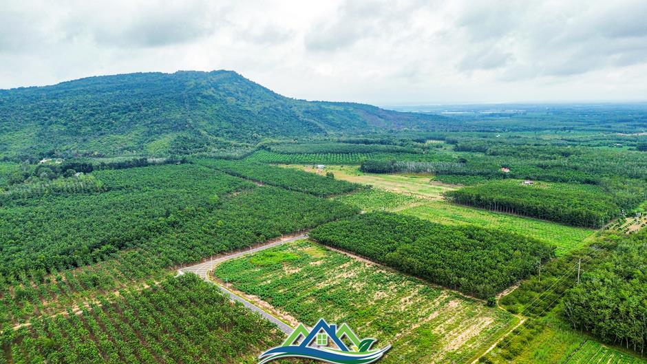 Toàn cảnh khu vực được đề xuất làm sân bay đầu tiên của tỉnh Bình Dương